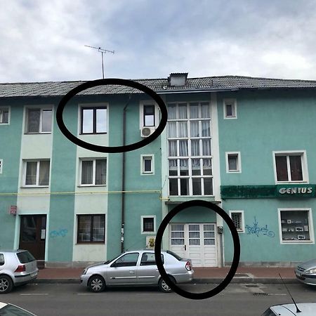 Vintage Apartment סוסאבה מראה חיצוני תמונה